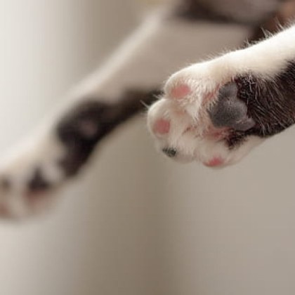 Притеснителен сигнал разпространяват граждани в социалните мрежи Костадин Стаматов твърди