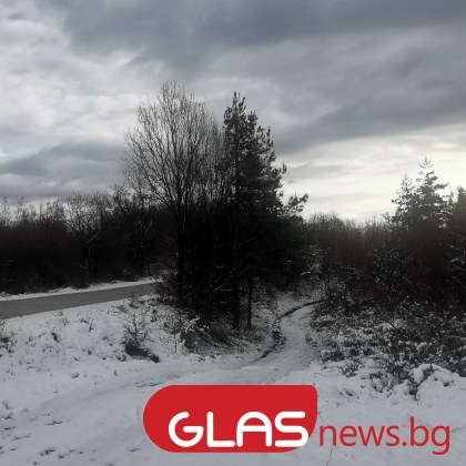 Облачна неделя с валежи от дъжд и сняг