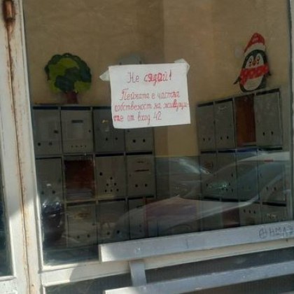 На любопитна гледка се натъкна гражданин в Пловдив Мъжът попадна на