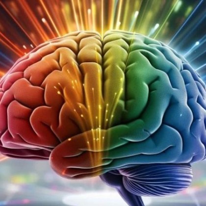 Човешкият мозък остава една от най големите научни мистерии а творчеството