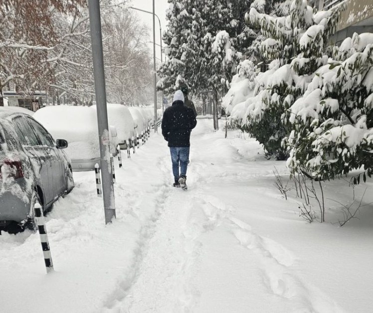 Майка от Русе: Хора, лапайте снежинки!