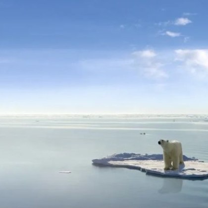 Световният морски лед е паднал до ново рекордно ниско ниво