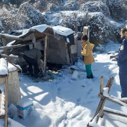 Кучета ползвани за боеве са били спасени в акция на