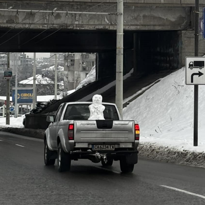 Кой каза че зимата е мрачна и скучна Един находчив