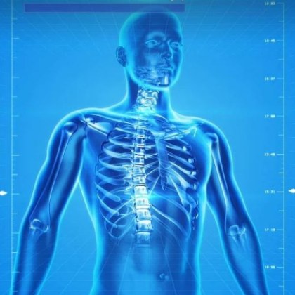 Човешкото тяло е истинско чудо на природата – сложна система