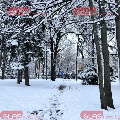 Студът не е необичаен по скоро архивите показват че този февруари