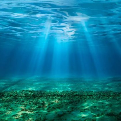 Вероятно досега не сте си представяли как изглежда дъното на