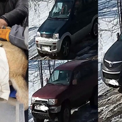 С публикация в социалните мрежи Община Русе съобщи че от