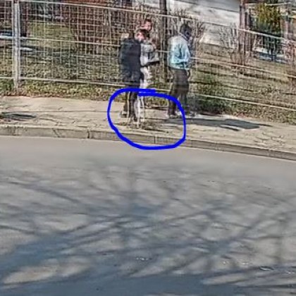 Безсмислена вандалска проява в Сливен Група младежи блеснаха с абсурдно