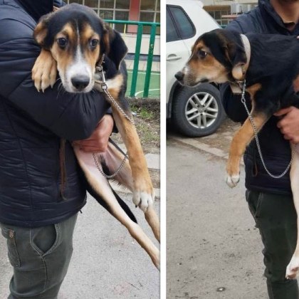 Мъж беше заснет да проявява жестокост към кучето си на