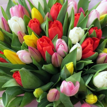 Международният ден на жената е специален момент когато можем да