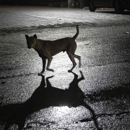 Жена от Троян разказа в социалните мрежи за случка на