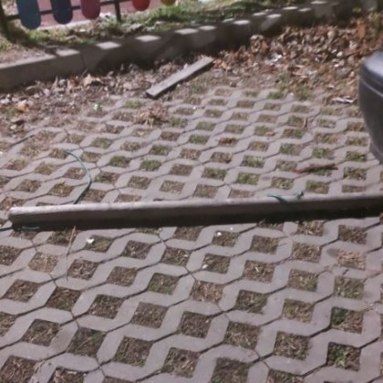 Шокиращ случай на насилие над животни разтърси квартал Кайсиева градина