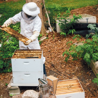 Пчелари от цялата страна излизат на национален протест днес за