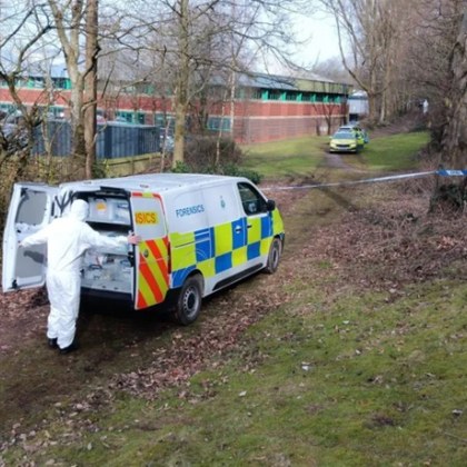 Човешки скелетни останки са били открити в гора близо до