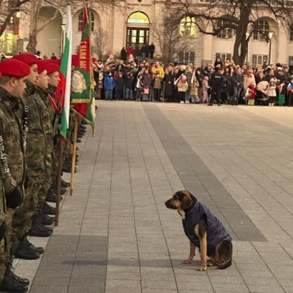 На националния празник на България в Плевен тържествената заря проверка привлече