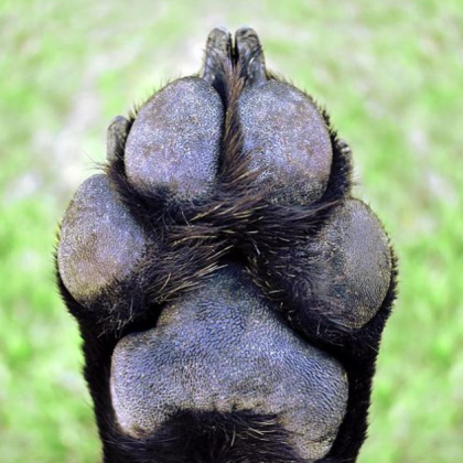 Жители на Плевен сигнализират за тревожна гледка по пътя между