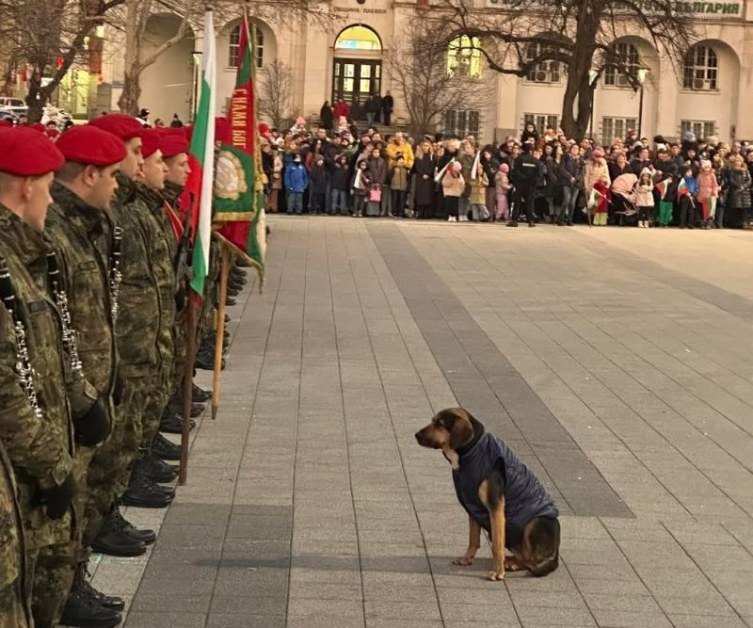 Необикновен гост на тържествата в Плевен стана звезда в Мрежата СНИМКА