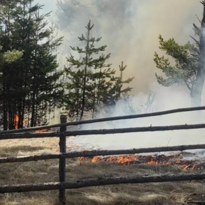 Със затоплянето на времето и рязкото покачване на температурите опасността