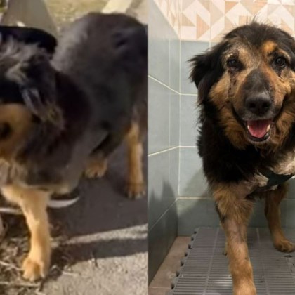 Навръх Деня на жената ще ви разкажем за една фрапираща