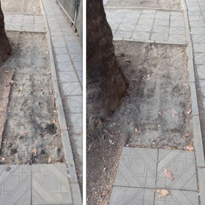 Жителка на Пловдив алармира в социалните мрежи за изчезващи плочки