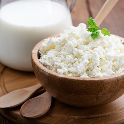 Чревният микробиом играе ключова роля в усвояването на храната и