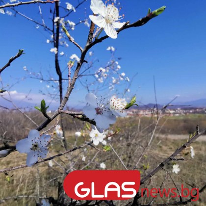 Днес преди обяд над по голямата част от страната ще е