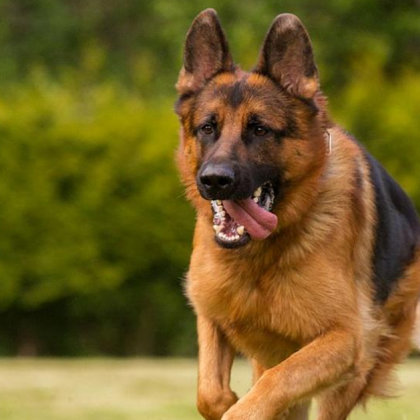 На 10 март Теодора Петрова алармира в социалната мрежа Facebook