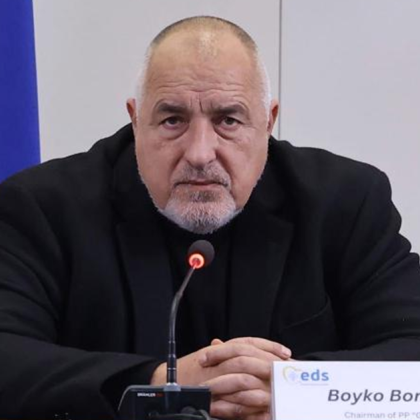 Настояваме резултатите от експертизите по конституционното дело да станат публично