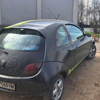 Притеснителнителен случай в София Граждани твърдят че малко кученце е затворено