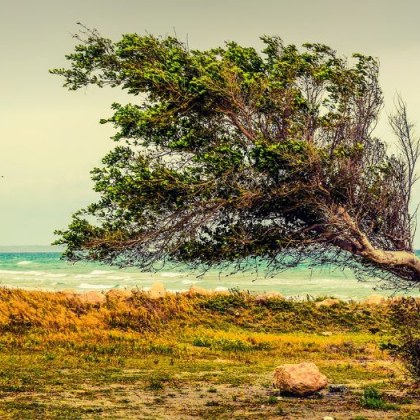 Националният институт по метеорология и хидрология обяви жълт код за