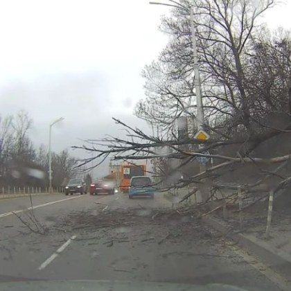 На бул Черни Връх непосредствено преди разклона за Джеймс Баучер
