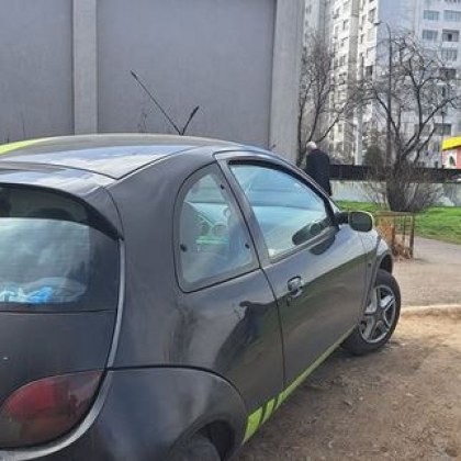 История с продължение във вторник кученце затворено с часове