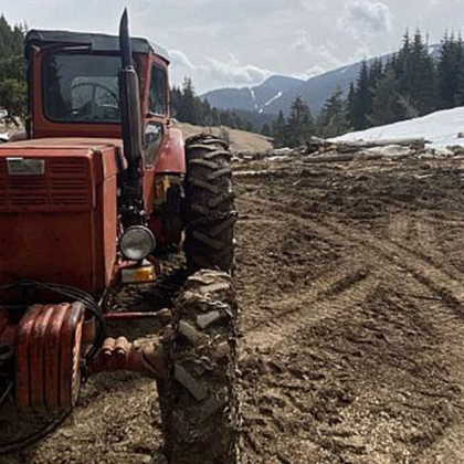 Горските инспектори от РДГ Смолян задържаха близо 23 плътни кубически метра