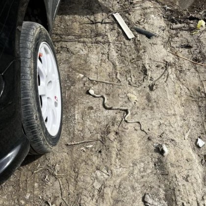 Жителка на пловдивския квартал Кючук Париж изпита истински шок когато