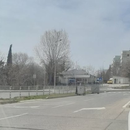 Неочаквани участници в движението се появиха по пътната мрежа на