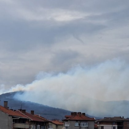 В горския фонд между с Изгрев и с Лозенец е