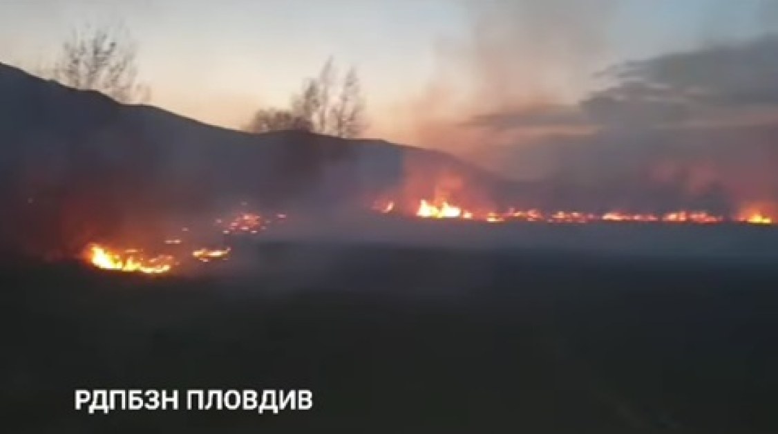 Огнена стихия: Пожарникари спасиха частно стопанство в Кричим ВИДЕО