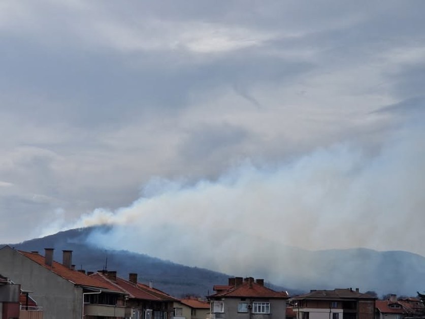 Пожар гори в гориста местност край Царево СНИМКИ