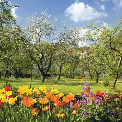 Астрономическата пролет настъпва в 11 01 часа днес Пролетта е един от