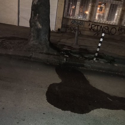 Столичанин твърди че граждани се опитват системно да унищожат дърво