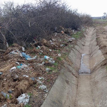 Експертът от Европейския център за транспортни политики Диана Русинова аларира