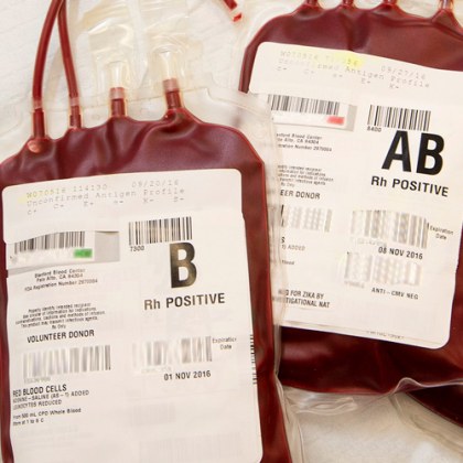 Над 500 души са дарили кръв за пострадалите при трагичния