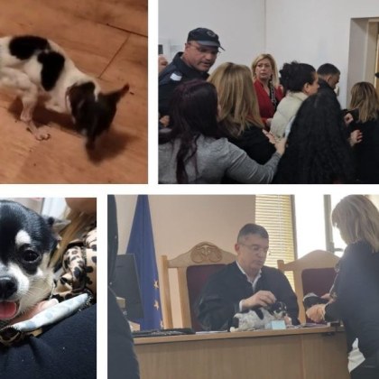 Кученцето Мауси е предадено на пловдивската полиция през вчерашния ден