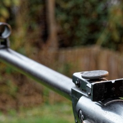 България изтръпна при зверствата срещу животни в които са обвинени