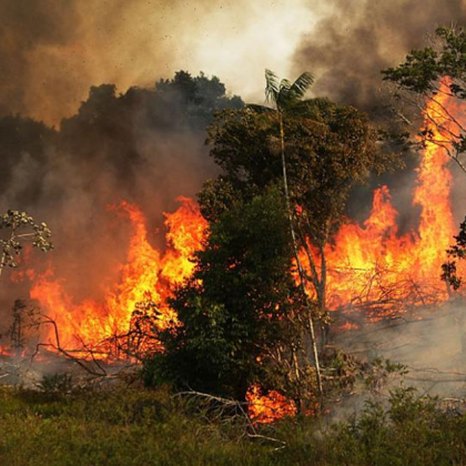Сухи треви и стърнища горят на пътя между с Звъничево