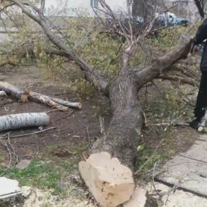 Жители на столичния квартал Люлин са възмутени от това че се