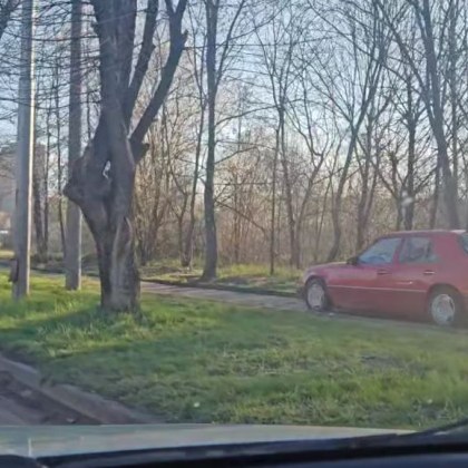 Шофьор засне поредното безобразие на пътя – водач на лек