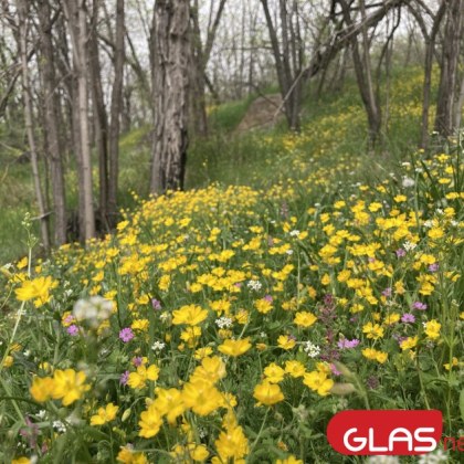 В сутрешните часове на отделни места по поречията и около