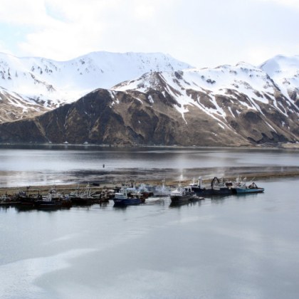 Геоложката служба на САЩ съобщи че земетресение е ударило бреговете